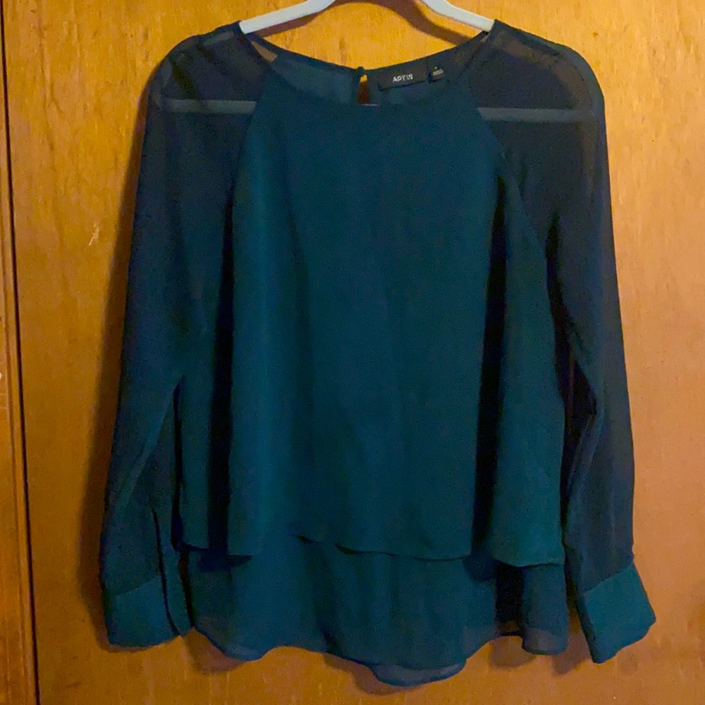 Sheer sleeve blouse
